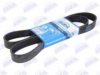 BTA B08-8PK1515 V-Ribbed Belts